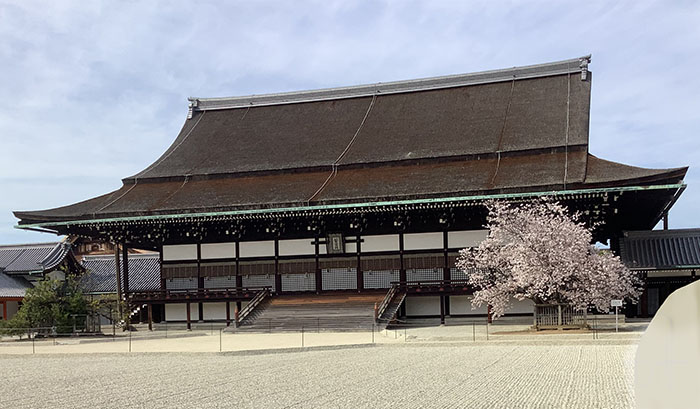 紫宸殿の左近の桜と右近の橘